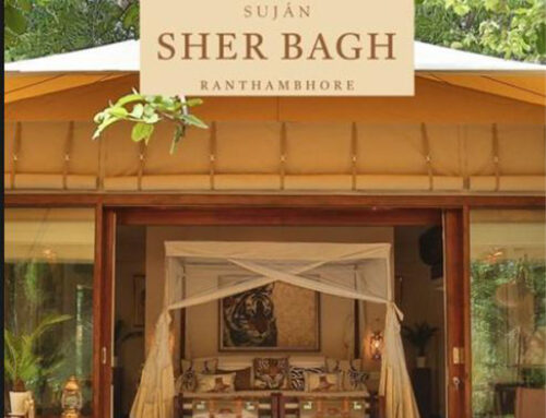 ARCHITECTURAL DESIGN OF Sherbagh